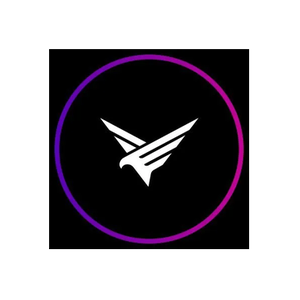 Fly Hawk brand logo for flyhawk.com