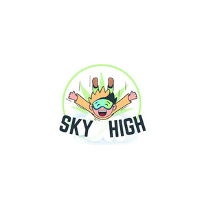 fly-with-sky-high brand logo for fly-with-sky-high.com