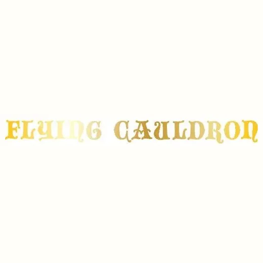 Flying Cauldron brand logo for flyingcauldron.com