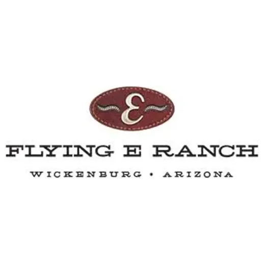 Flying E brand logo for flyingeranch.com
