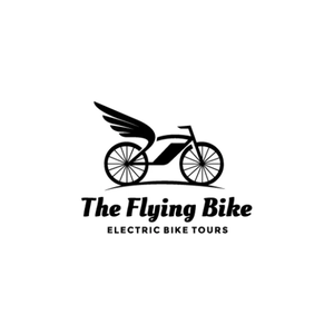flyingbiketours brand logo for flyingbiketours.com
