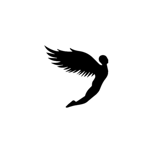 Flysportsuk brand logo for us.flysportsuk.com