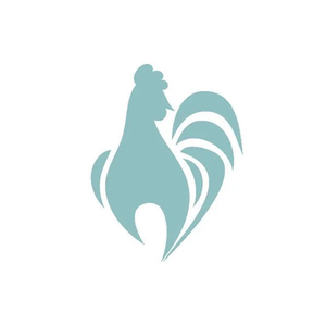 Flyte so Fancy brand logo for flytesofancy.co.uk
