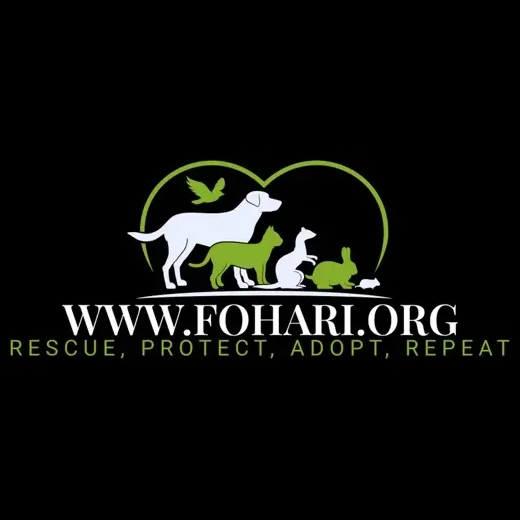 Fohari brand logo for fohari.org