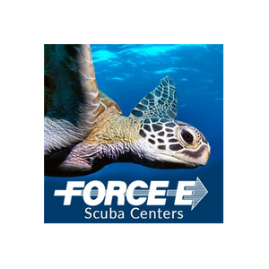 Force-E brand logo for force-e.com