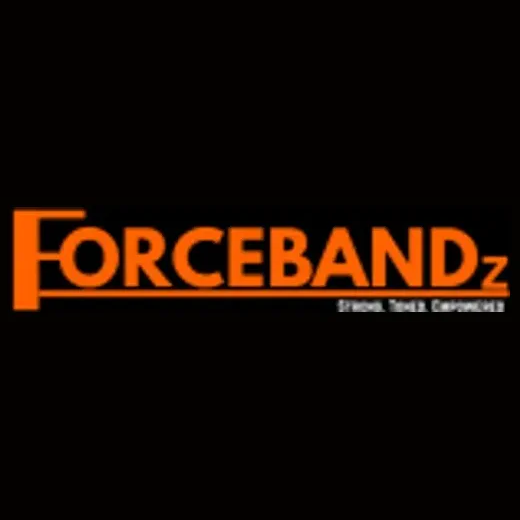 forcebandz brand logo for forcebandz.com