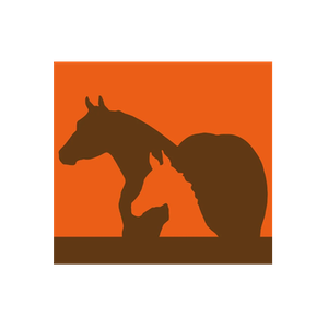 ForCo brand logo for forco.com
