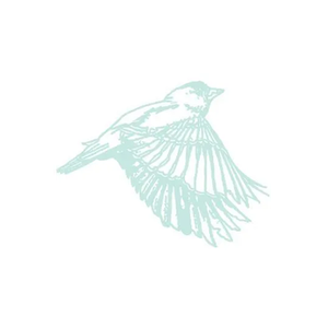 Forest & Fin brand logo for forestandfin.com