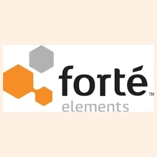 Forte Elements brand logo for forteelements.com