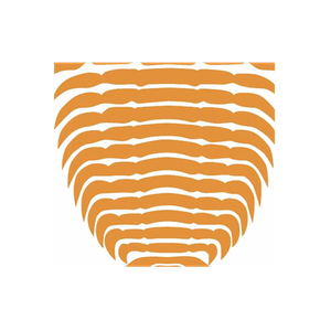 FossilEra brand logo for fossilera.com