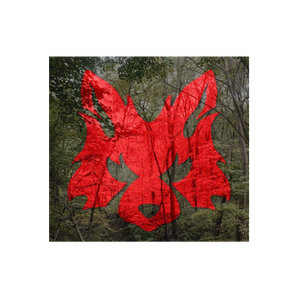 Fox Outdoor Products brand logo for foxoutdoor.com