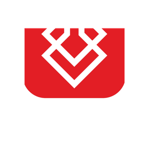 Foxel brand logo for foxel.me