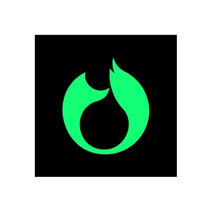FoxWallet brand logo for foxwallet.com