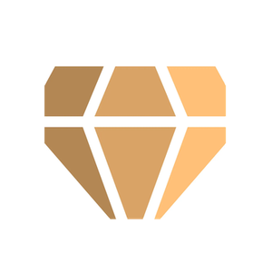 FP Luxury brand logo for fpluxury.com