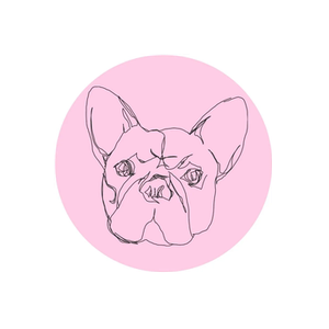 Frankie and Friends brand logo for frankieandfriends.com.au
