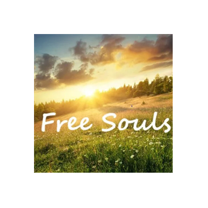 Free Souls Boutique brand logo for freesoulsboutique.com