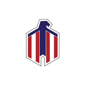 Freedom Holsters brand logo for freedomholstersllc.com