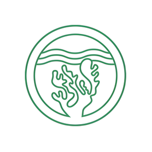 Fresh Seamoss brand logo for freshseamoss.com