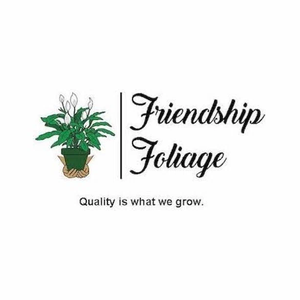 Friendship Foliage brand logo for friendshipfoliage.com