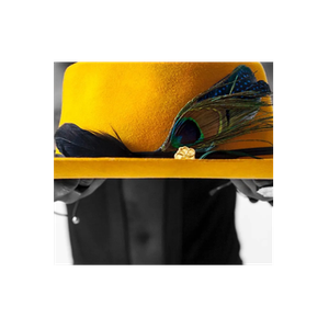Fruition Hat Company brand logo for fruitionhatcompany.com