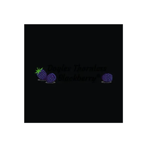 Fruits and Berries brand logo for fruitsandberries.com