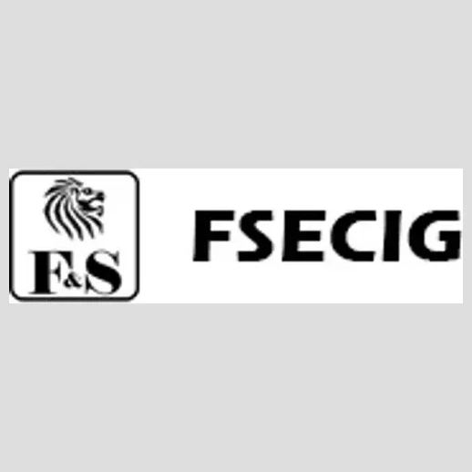 FSEcig brand logo for fsecig.com