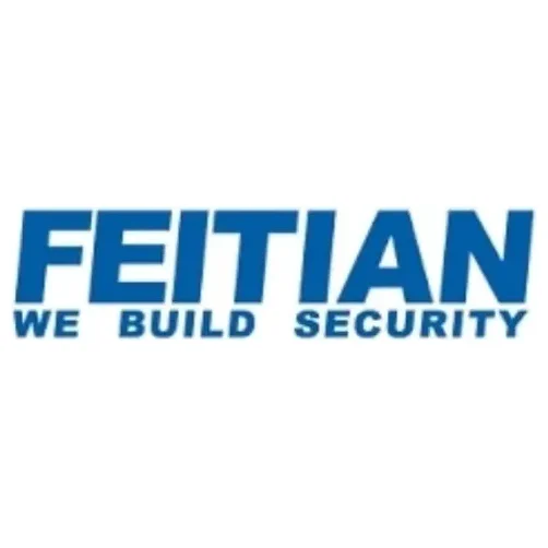 FTSafe brand logo for ftsafe.com