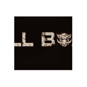 Full Boar Sports brand logo for fullboarsports.co.uk