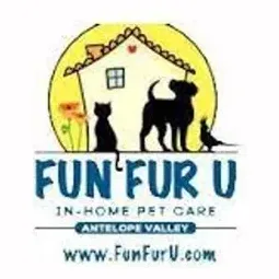 FunFuru brand logo for funfuru.com