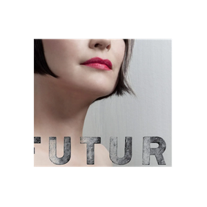 Future Vanity brand logo for futurevanitynovelty.com