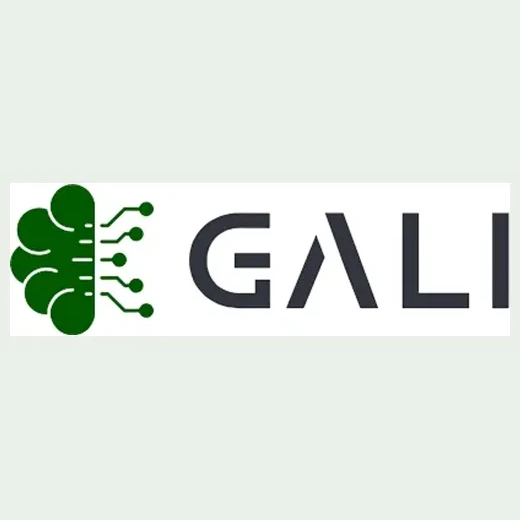 Gali AI brand logo for galiai.com