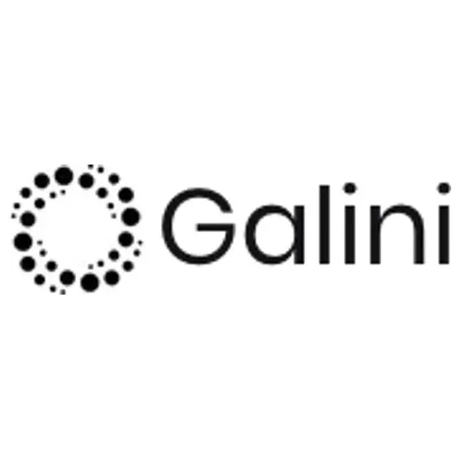 Galini brand logo for galini.ai