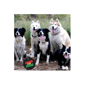 Game On Dogs brand logo for gameondogs.com.au