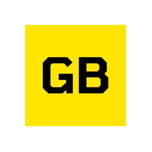 Gamerbulk brand logo for gamerbulk.com