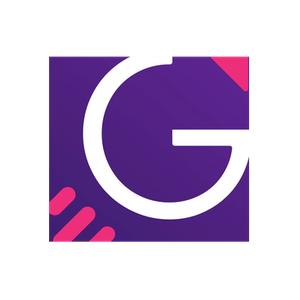 Gamifier brand logo for gamifier.co