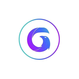 Gamyfi brand logo for gamyfi.org