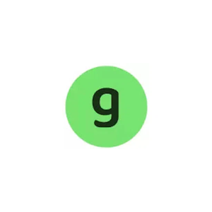 Gapier brand logo for gapier.com