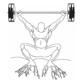 Garage Strength brand logo for garagestrength.com