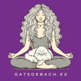 gatsdebach brand logo for gatsdebach.es