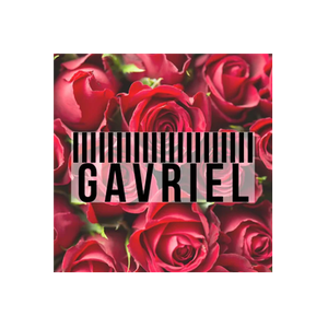 Gavriel brand logo for gavriel.us