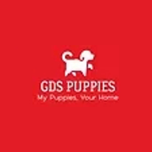 GDS Puppies brand logo for gdspuppies.com
