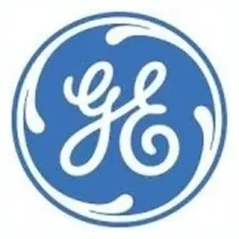 GE brand logo for ge.com