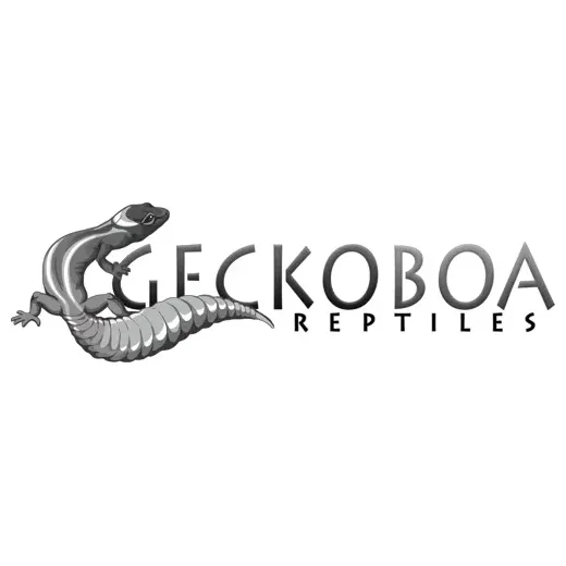 Gecko Boa brand logo for geckoboa.com