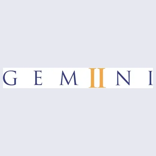Gemiini brand logo for gemiini.org