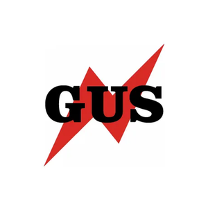 Generator Upgrade Supply brand logo for generatorupgradesupply.com