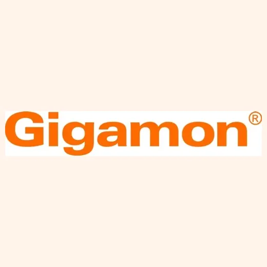 Gigamon brand logo for gigamon.com