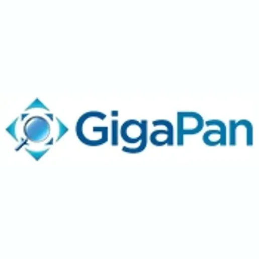 GigaPan brand logo for gigapan.com