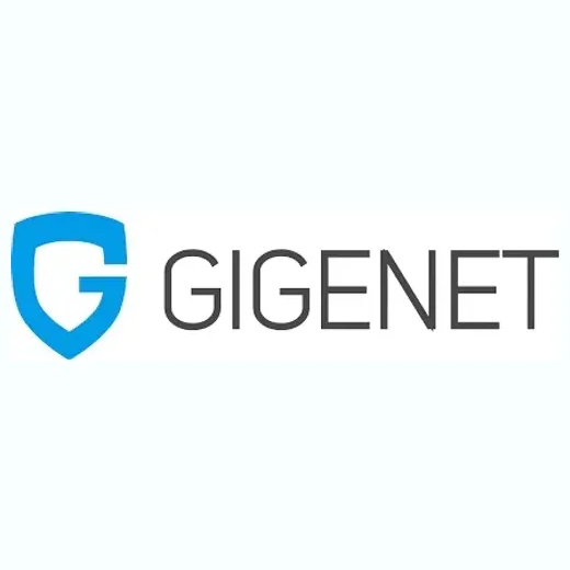Gige NET brand logo for gigenet.com
