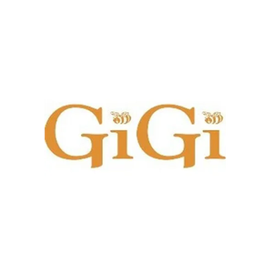 GiGi Spa brand logo for gigispa.com