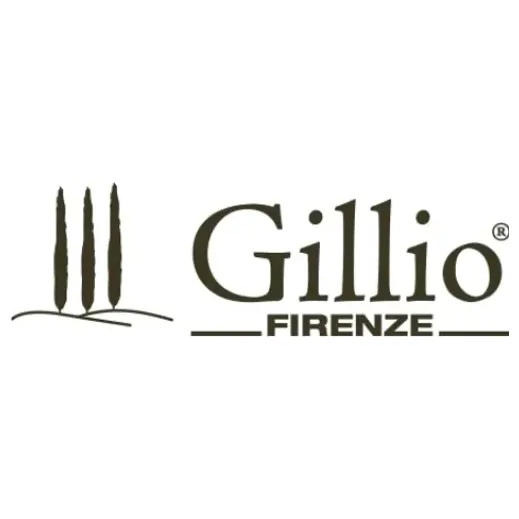 Gillio brand logo for gillio.be